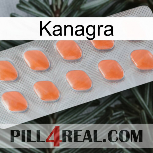 Kanagra 26.jpg